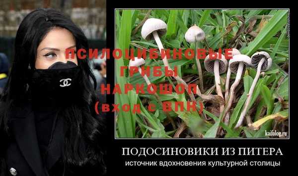 ГАЛЛЮЦИНОГЕННЫЕ ГРИБЫ Тавда