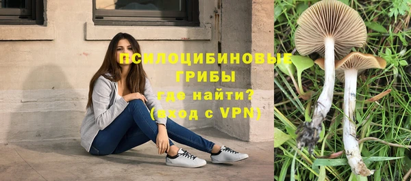 МДМА Верхний Тагил