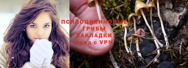 твердый Верея