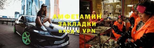 сатива Тайга