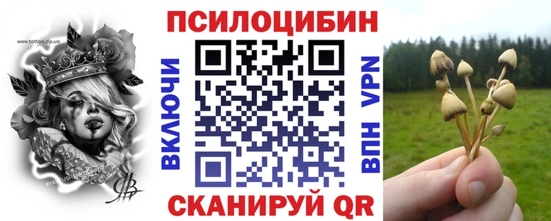 как найти закладки  Киреевск  Псилоцибиновые грибы мухоморы 