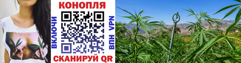 Шишки марихуана Ganja  Киреевск 